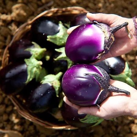 אליה Al Lago Verde מראה חיצוני תמונה